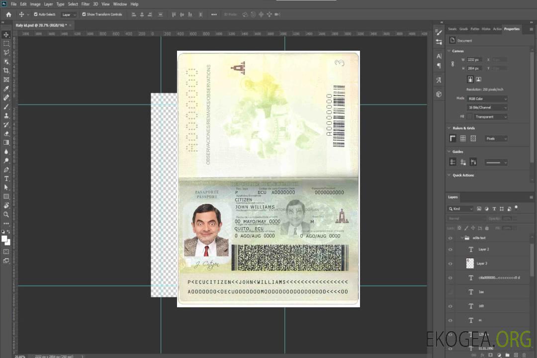 Passeport équatorien template